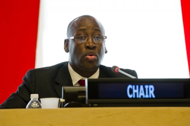 Sustainable development vital for post-2015 agenda: UN