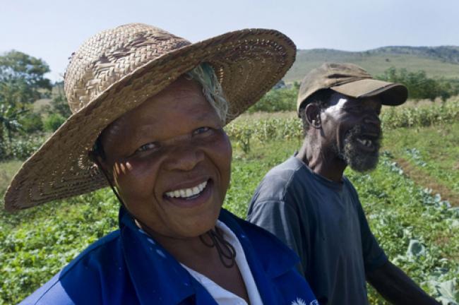 UN spotlights role of family farms in reducing poverty