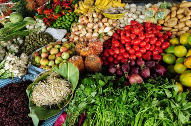 UN urges nutrition strategies for global right to food
