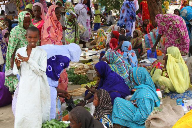 Aid community must scale up support to troubled Lake Chad region, urges senior UN official