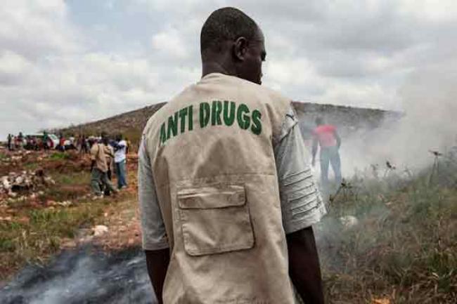 On Day Against Drug Abuse, Ban calls for 