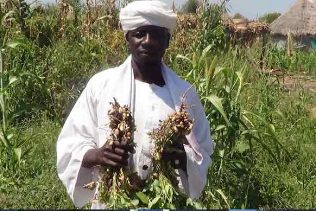 Sudan: Two UN agencies team up to help smallholder farmers, promote food security
