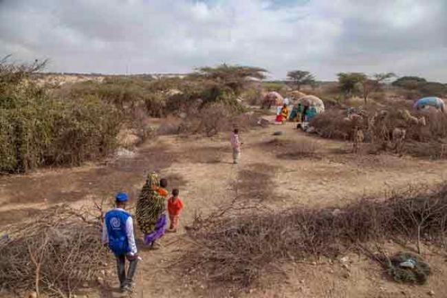 UN migration agency launches $24.6 million appeal for drought-hit Somalia