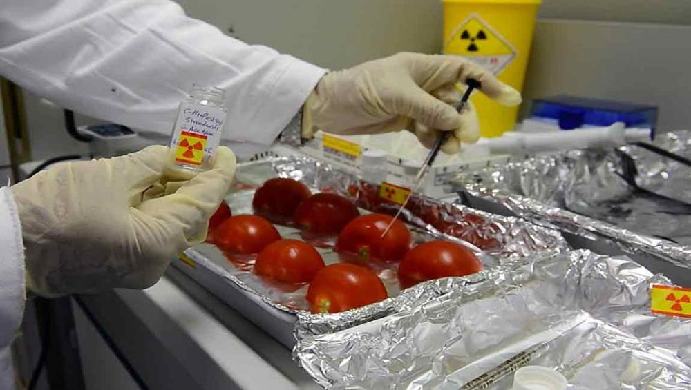 UN agencies explore nuclear applications to combat food fraud and contamination