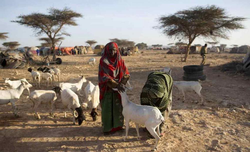 UN approves $22 million loan to boost agricultural work to prevent famine in Somalia