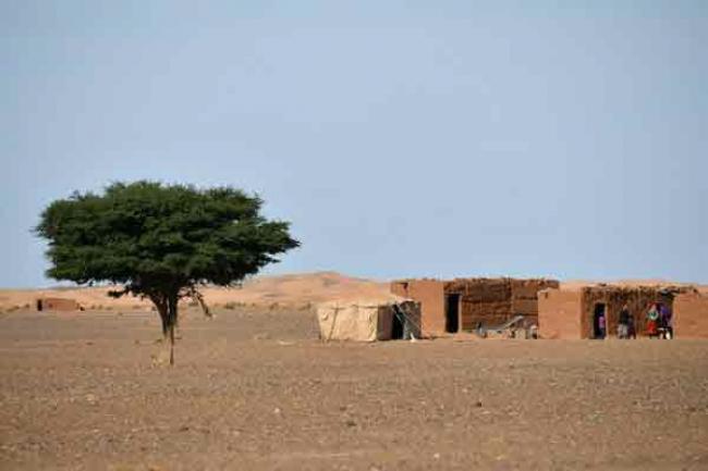 UN agriculture agency warns of water scarcity in North Africa and Near East
