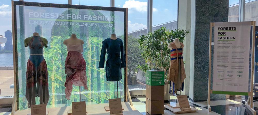 Dress the world in wood, UN says in its ‘Forests for Fashion’ initiative