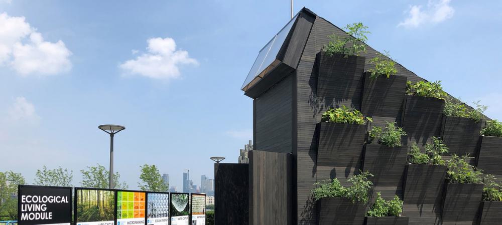 Small and sustainable: “Tiny houses” could be solution to world’s housing problems