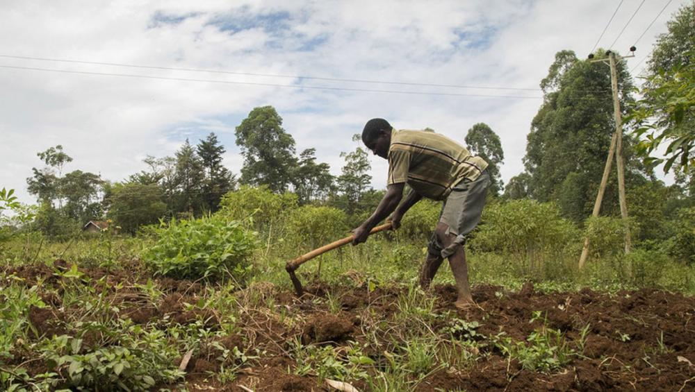 Help African farmers cope with climate change threats, UN food agency urges