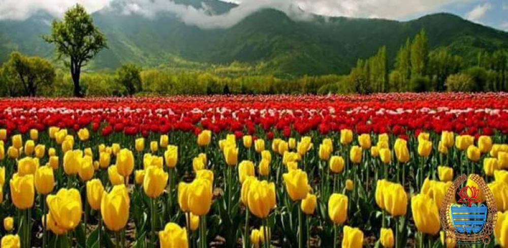 Oil extraction plant in Srinagar to aid floriculturists in increasing income