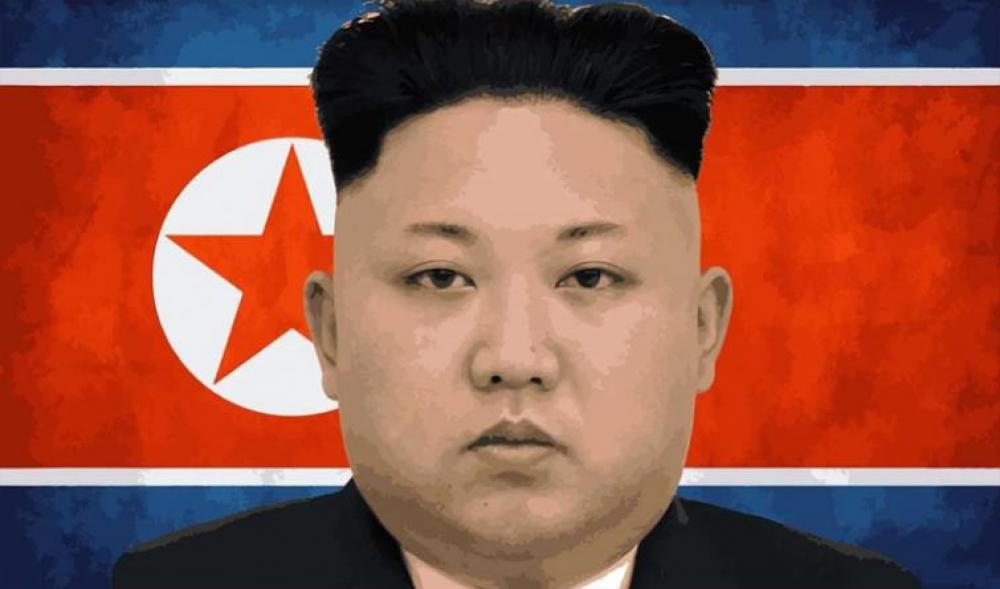 IAEA head says north Korea