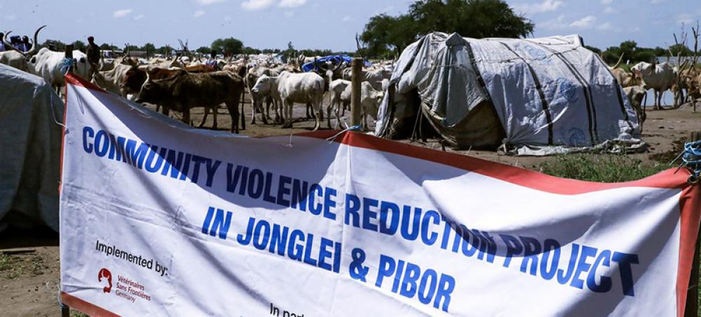 Rights experts say peaceful transition in South Sudan crucial, amid ‘immense suffering’