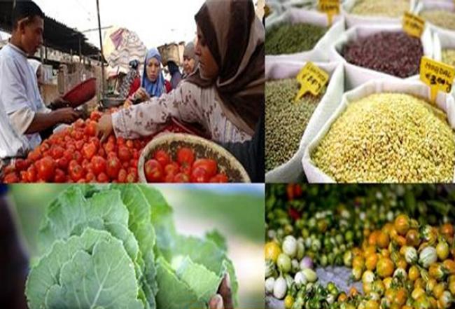 Good harvests, abundant inventory continue to drive international food prices down – UN