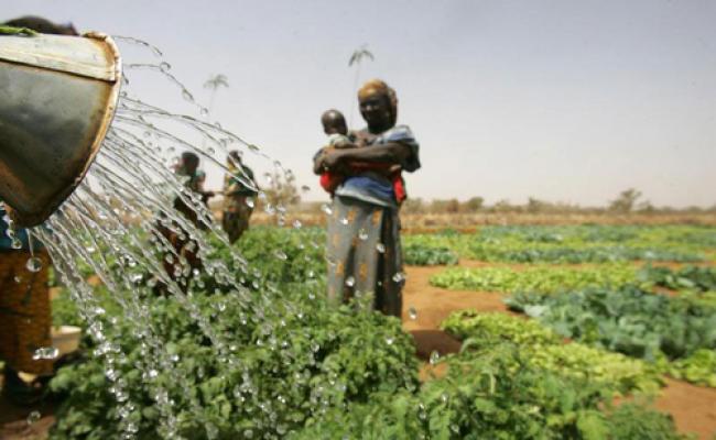 UN calls for investment in rural Africa