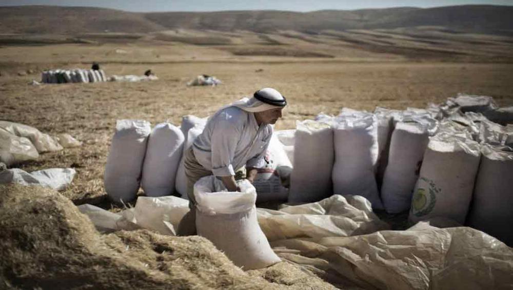 World food prices fall for third straight month, dip projected for grains – UN