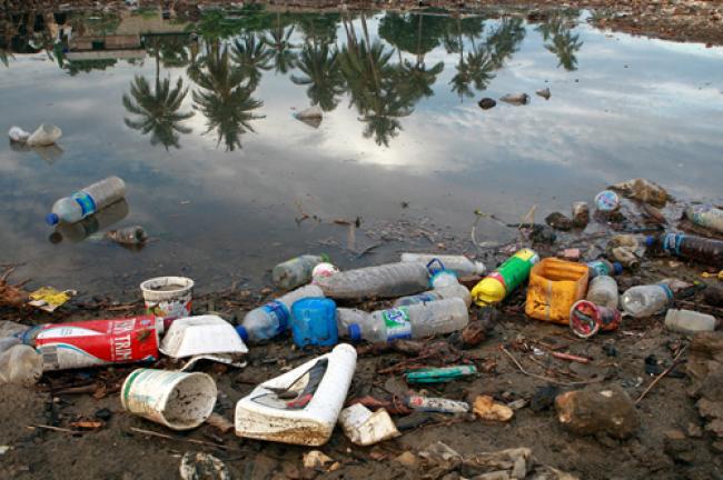 Plastic waste causes $13 billion in annual damage to marine ecosystems: UN