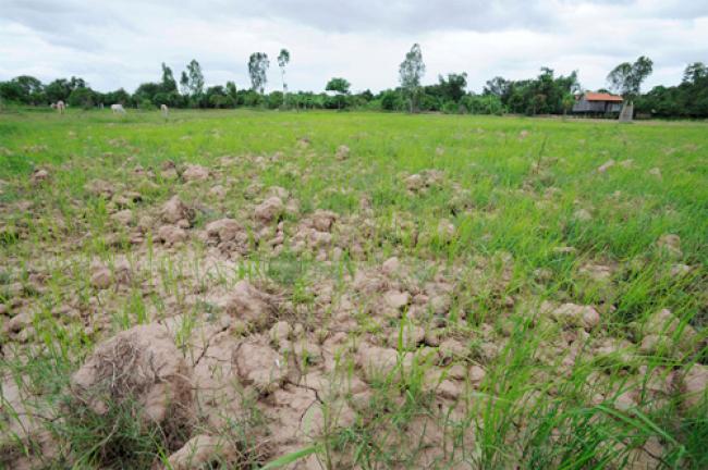 UN initiative strengthens drought monitoring and early warning in Asia-Pacific