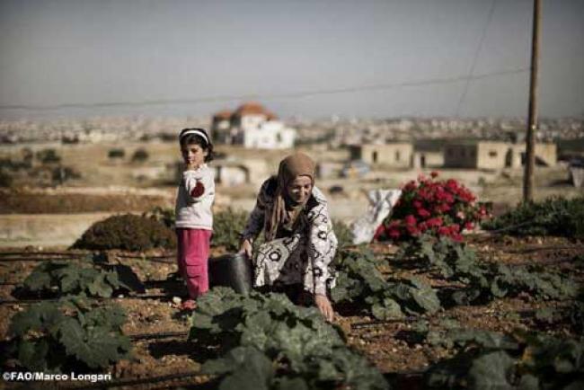 North Africa: Water scarcity among food security issues