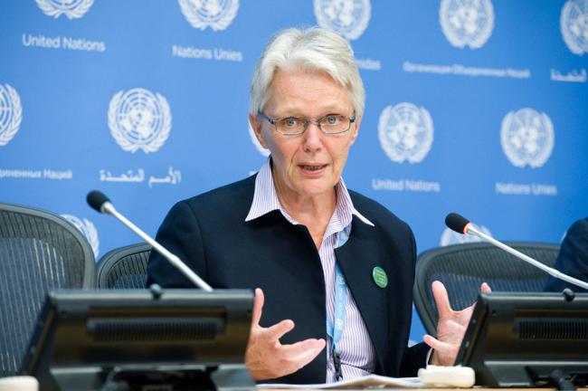 UN disaster reduction chief hails ‘major milestone’ in earthquake risk assessment