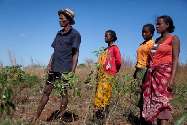 Madagascar needs resources to continue battle against locust plague – UN agency
