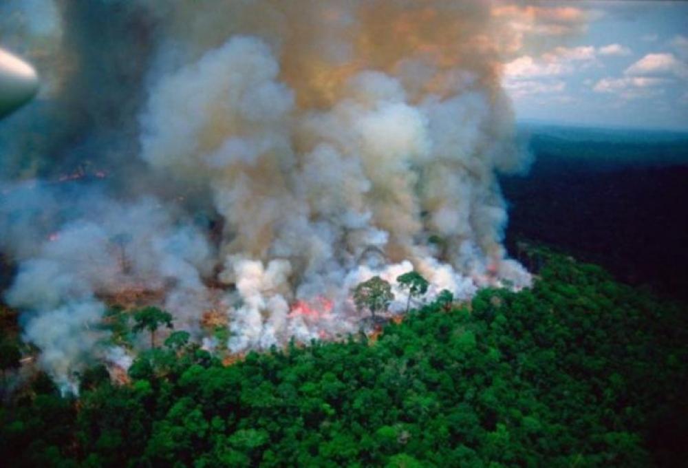 Brazil to discourage using fire for land clearance as Amazon wildfires persist