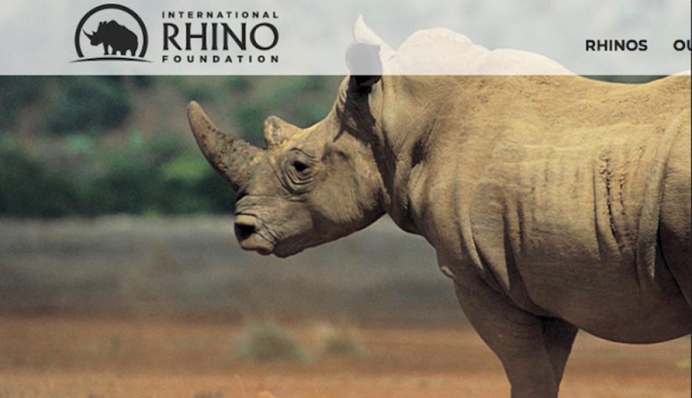 International Rhino Foundation awards emergency grant for tourism economy and rhinos in Southern Africa