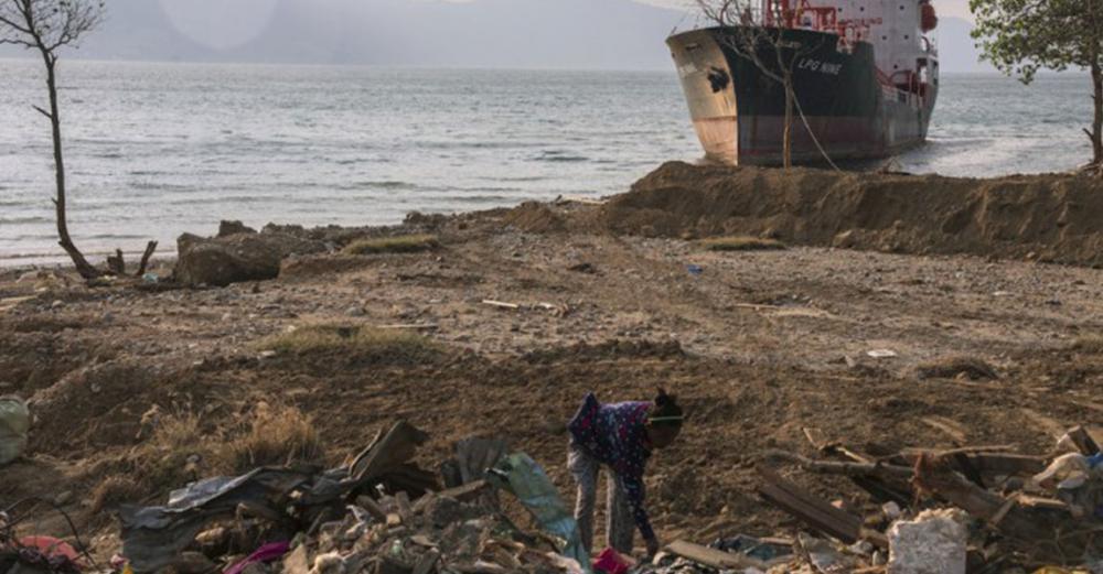 Effective disaster risk governance saves lives, UN highlights on World Tsunami Awareness Day