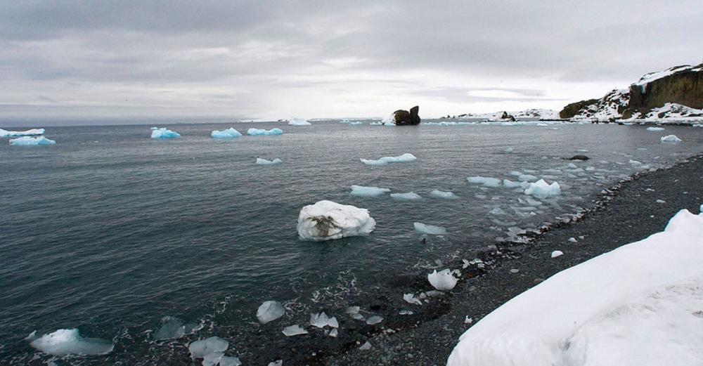 Climate crisis: Antarctic continent posts record temperature reading of 18.3°C