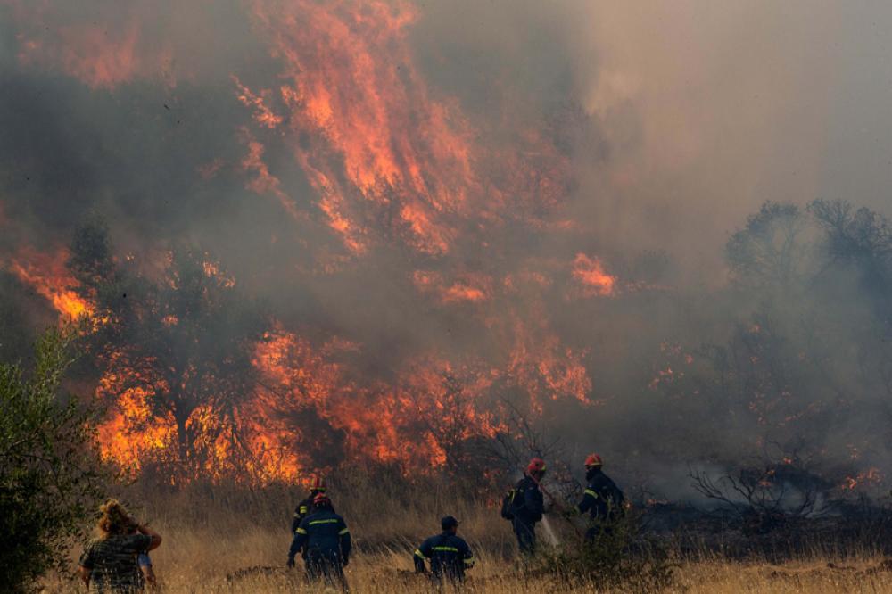 Recent wildfires triggered by climate change, to be a norm if not acted quickly: Experts 