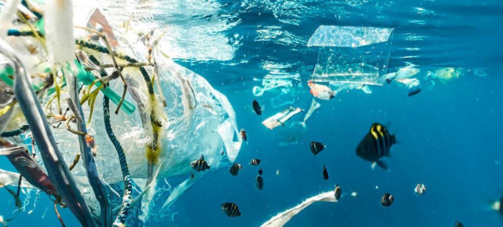 UN agencies head up new $115 million push for cleaner, healthier oceans