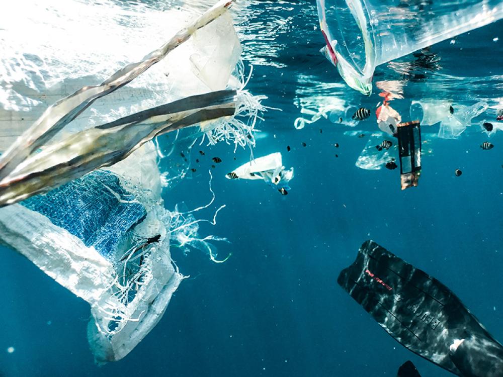 University of Queensland researchers are trying to develop plastic that can break down in seawater 