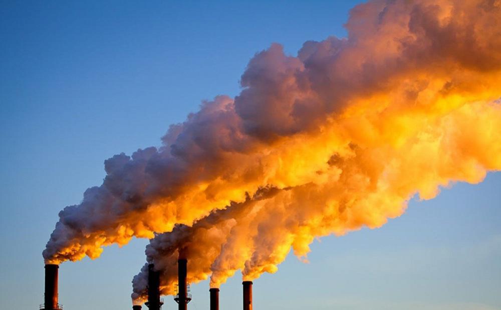 Carbon emissions touch record high in 2024, shows latest study