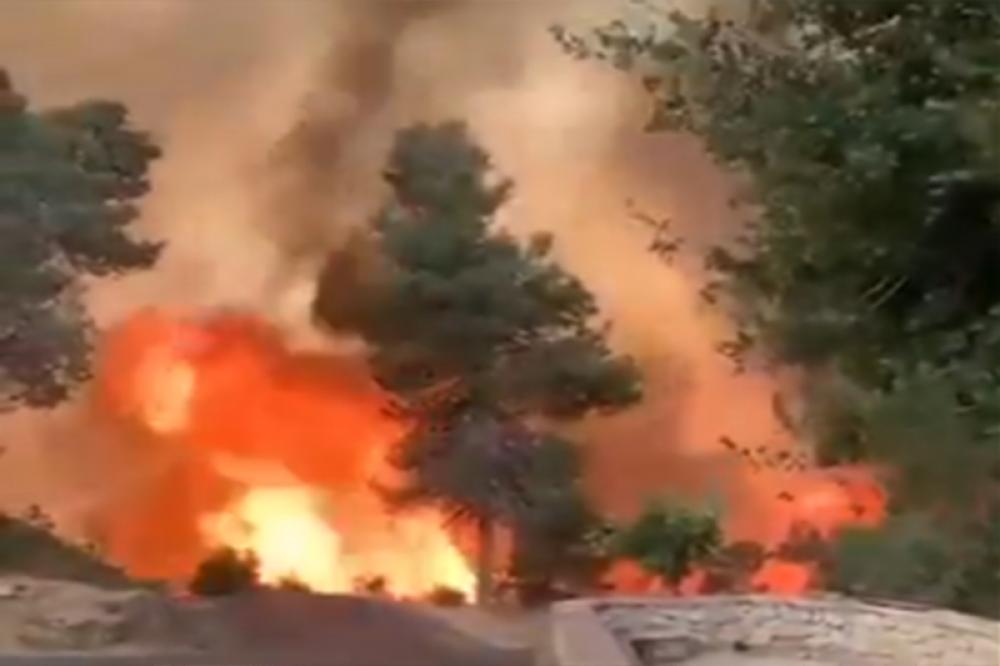 Israel wildfire brought under control, thousands evacuated Israel wildfire brought under control, thousands evacuated