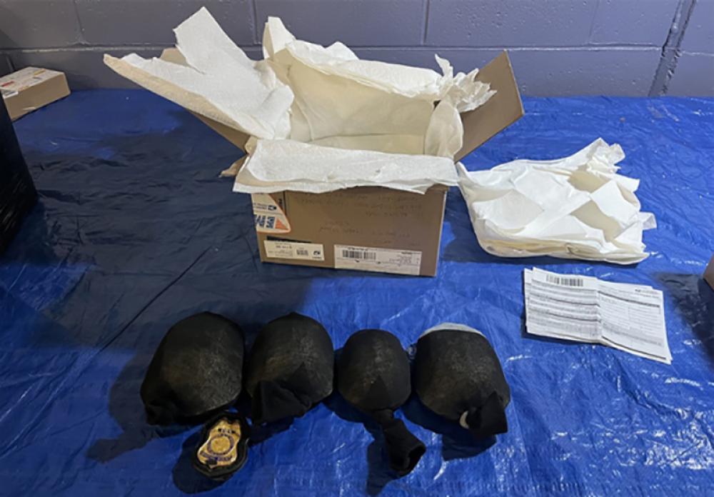 Chinese man pleads guilty to smuggling 850 protected turtles to Hong Kong