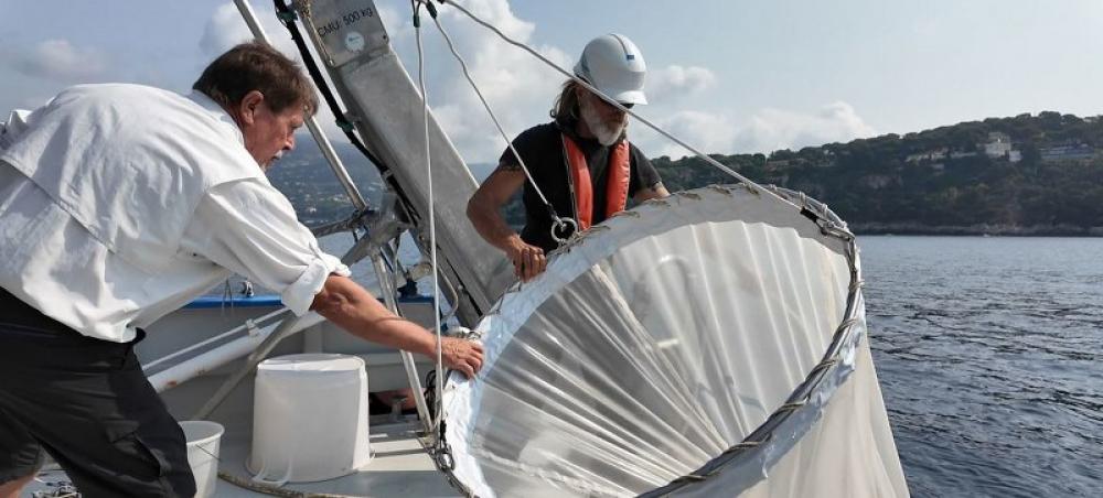 Drifting architects: Plankton, climate, and the race to understand our changing ocean Drifting architects: Plankton, climate, and the race to understand our changing ocean