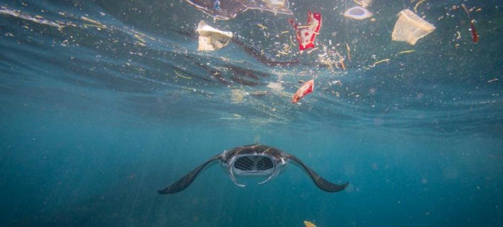 Antonio Guterres calls for an end to ocean ‘plunder’ as UN summit opens in France Antonio Guterres calls for an end to ocean ‘plunder’ as UN summit opens in France