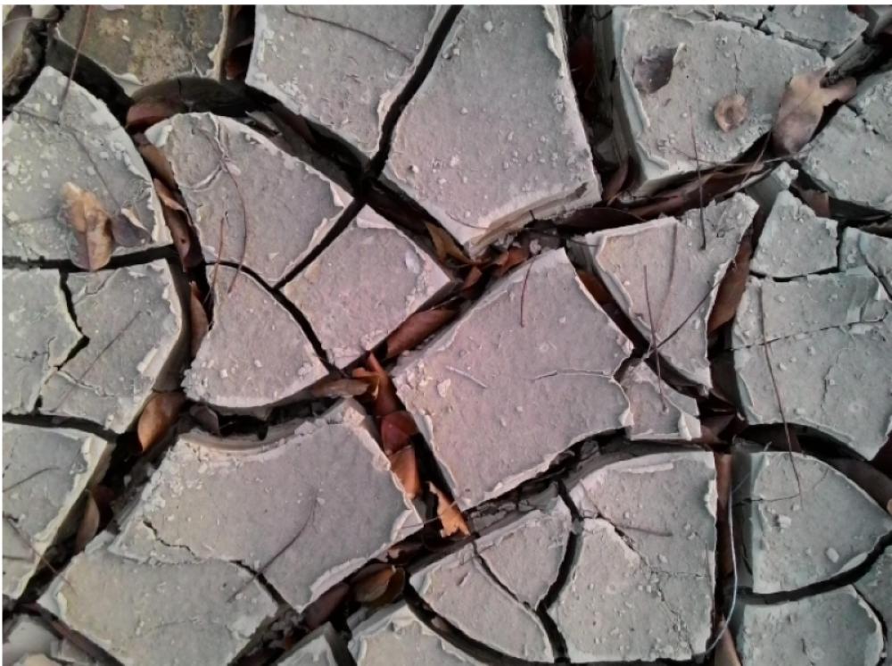 451,000 lives at risk? New study reveals super El Nino&rsquo;s deadly heat impact