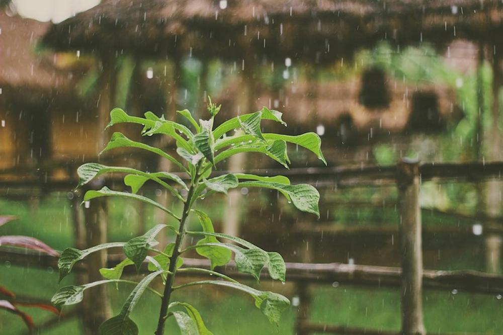 India ramps up preparedness as El Ni&ntilde;o threat looms