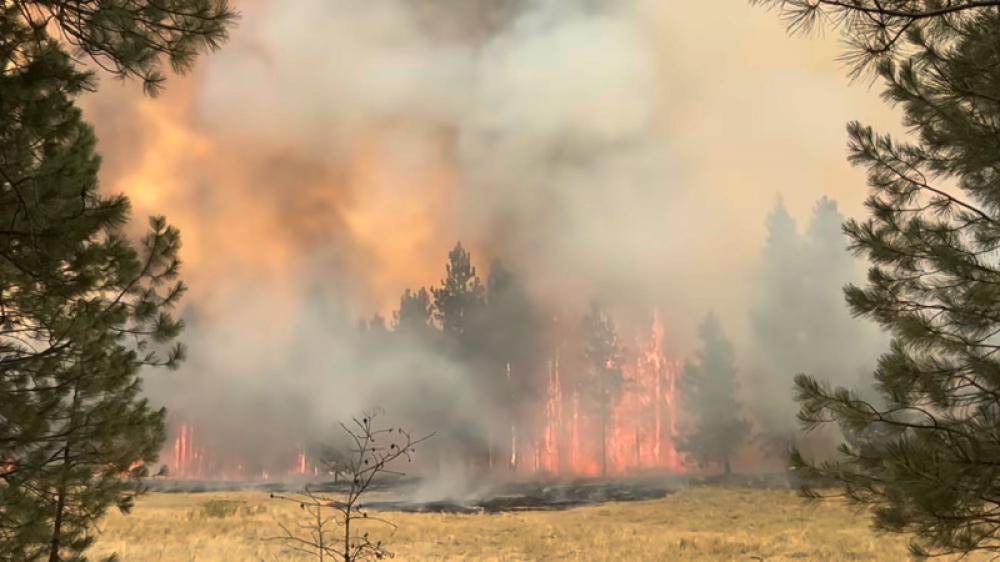 Washington declares statewide wildfire emergency, imposes burn ban as fires spread amid record drought