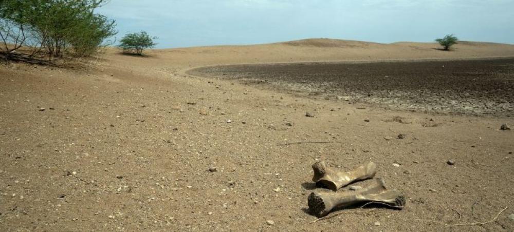 Global water bankruptcy shock: Why the planet&rsquo;s most precious resource Is collapsing 
