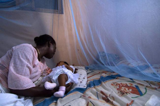UN lauds progress in malaria fight despite less funding 