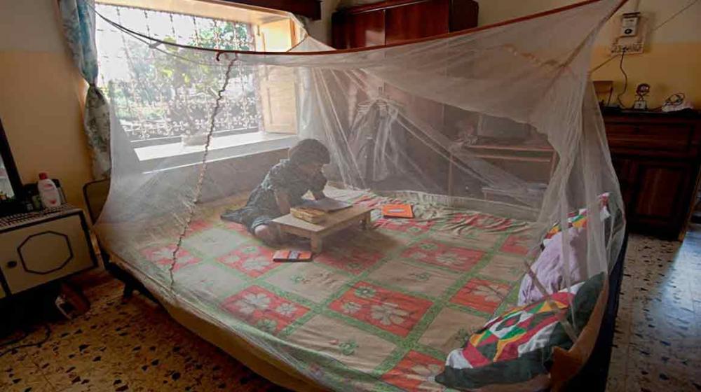 Ahead of World Malaria Day, UN says 