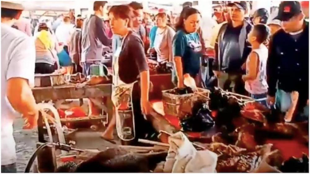 Research finds thousands of wild animals were sold at Wuhan markets in months before Covid-19 outbreak