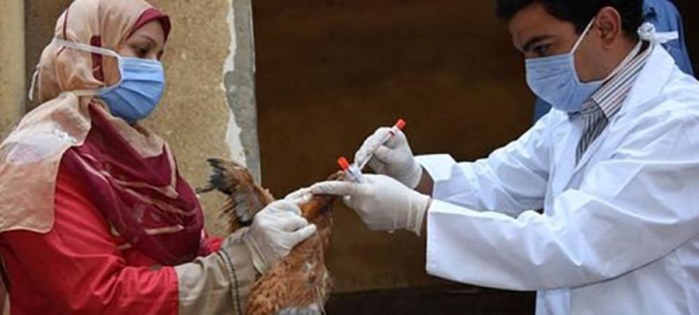 Avian flu reported in 108 countries, alerts UN health agency 