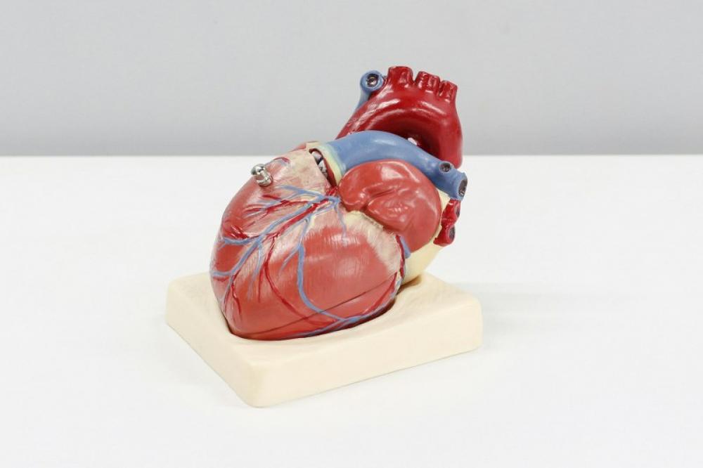 New study finds heart disease deaths worldwide linked to chemical widely used in plastics New study finds heart disease deaths worldwide linked to chemical widely used in plastics