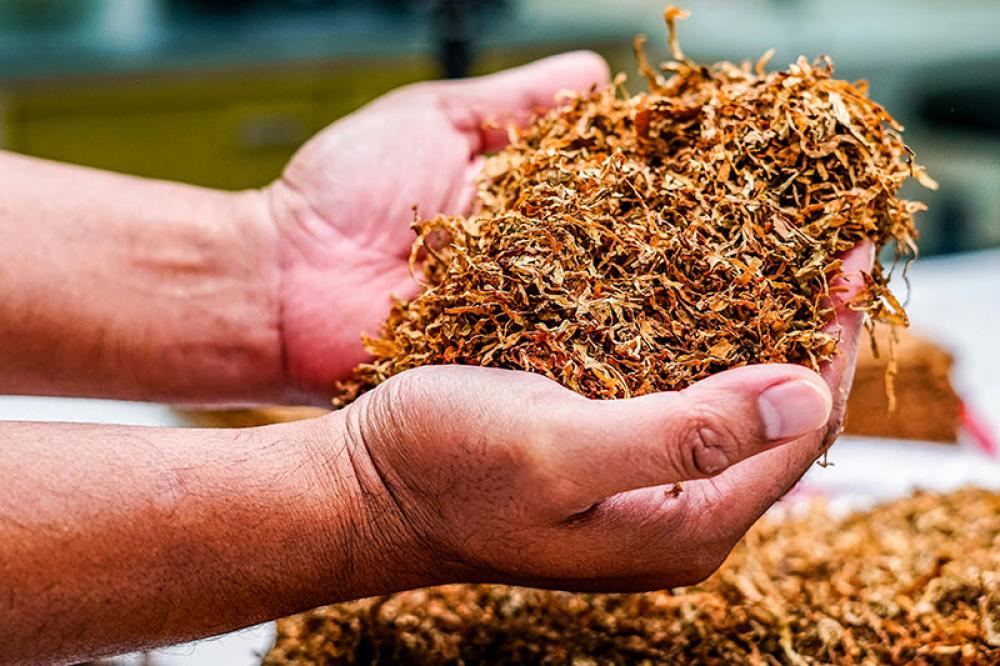  Chewing tobacco linked to 2.51 lakh deaths globally in 2023, finds study 