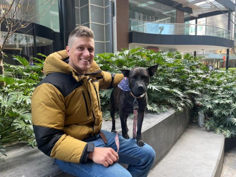 Australian techie turns to AI to develop personalised cancer vaccine for his dog, the result is surprising