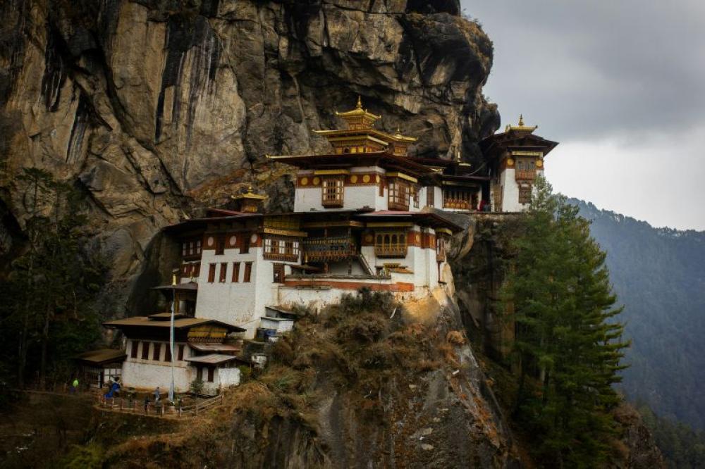 Bhutan makes history: WHO declares country free of dog-transmitted Rabies