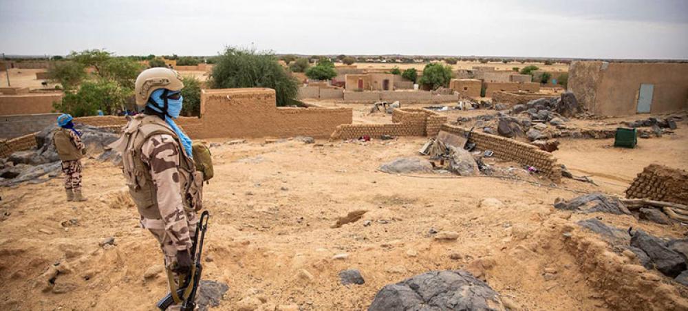 Mali: Security Council warned of 'endless cycle of instability'