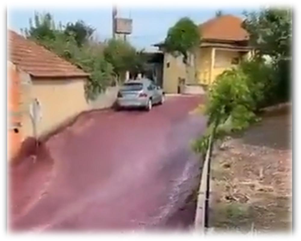 Surplus 600,000 gallons of red wine flows down streets of small Portuguese town, triggers environmental concern 